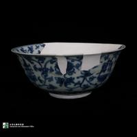 Dataset Image