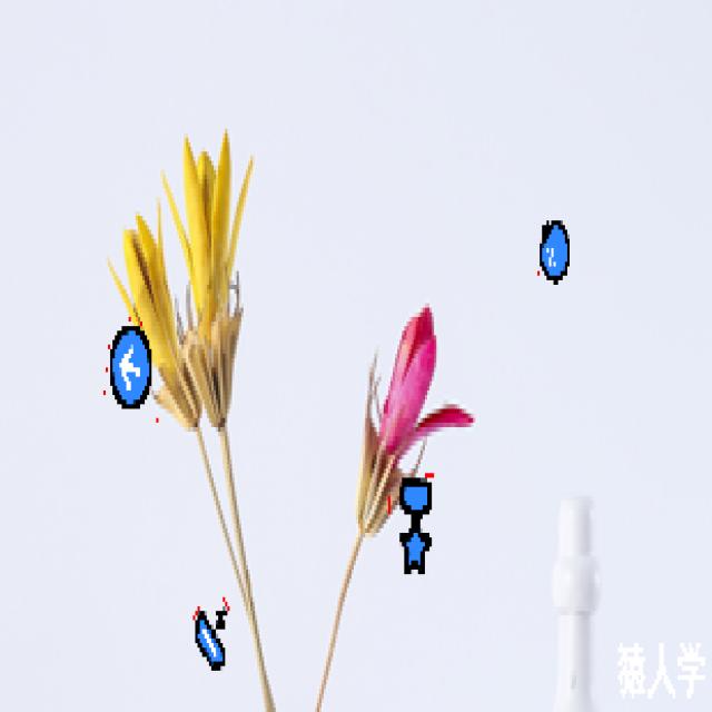 Dataset Image