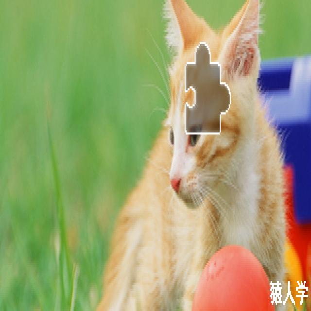 Dataset Image