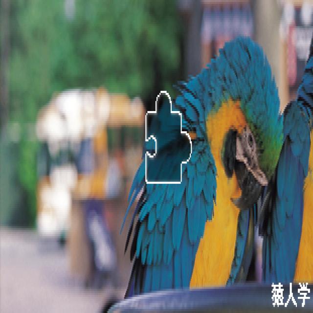 Dataset Image