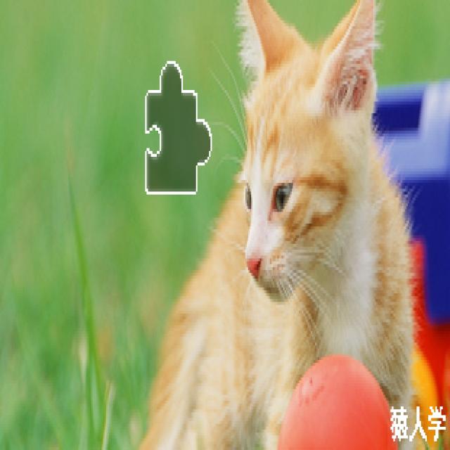 Dataset Image