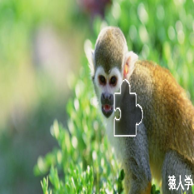 Dataset Image