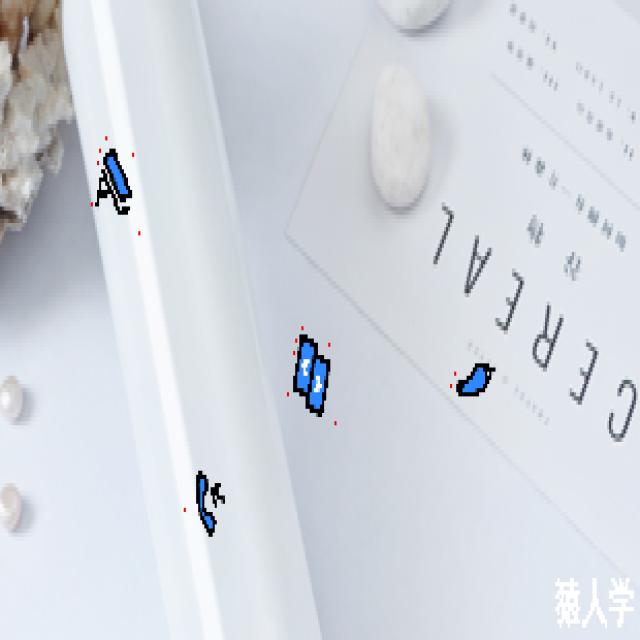 Dataset Image
