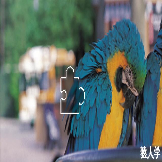 Dataset Image