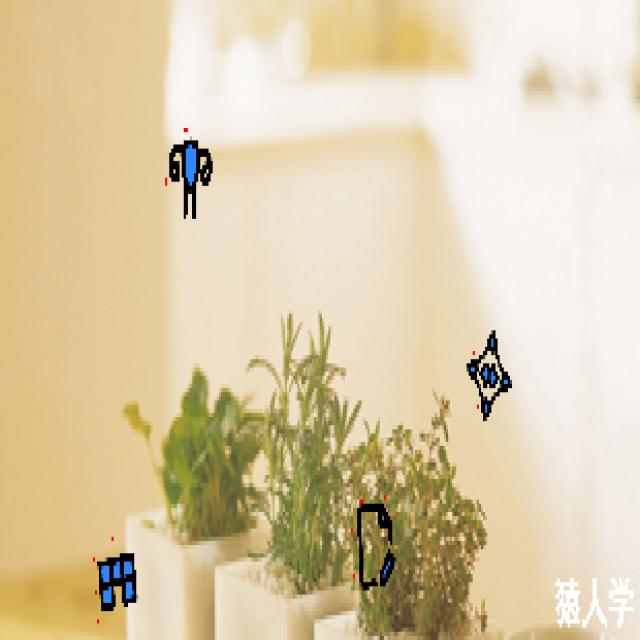 Dataset Image