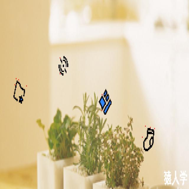 Dataset Image