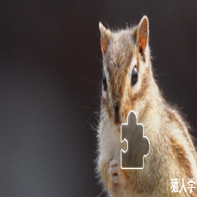 Dataset Image