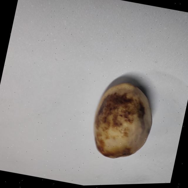 Dataset Image