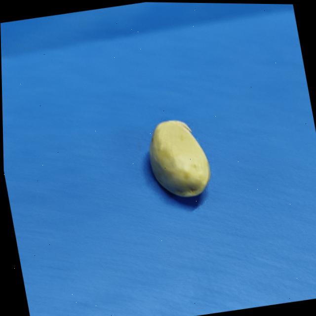 Dataset Image