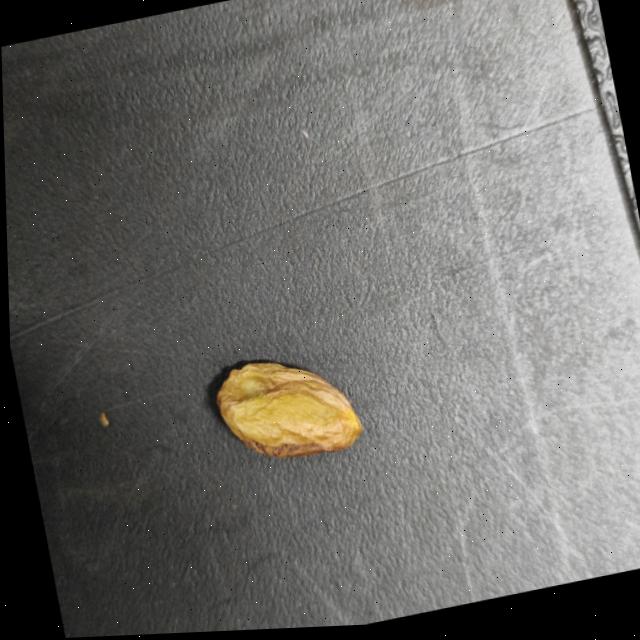 Dataset Image