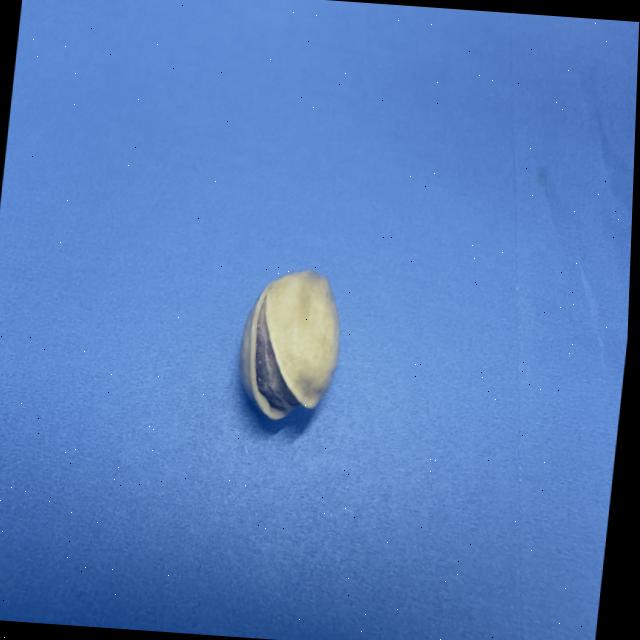 Dataset Image