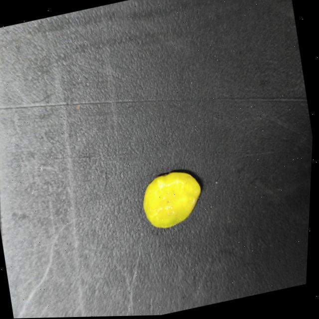 Dataset Image