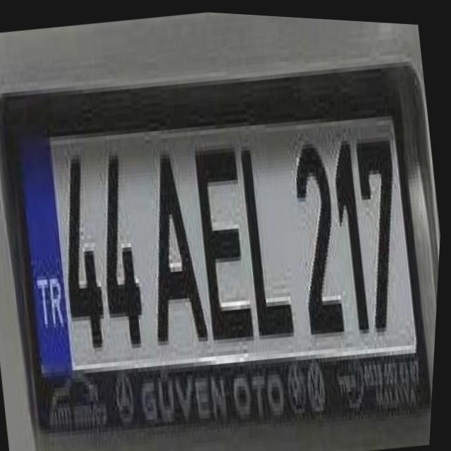 Dataset Image