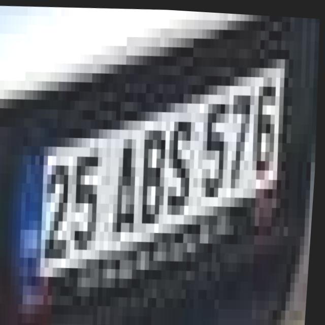 Dataset Image