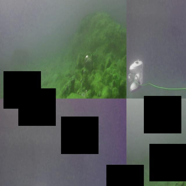 Dataset Image