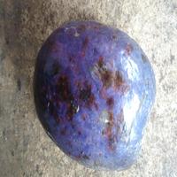Dataset Image