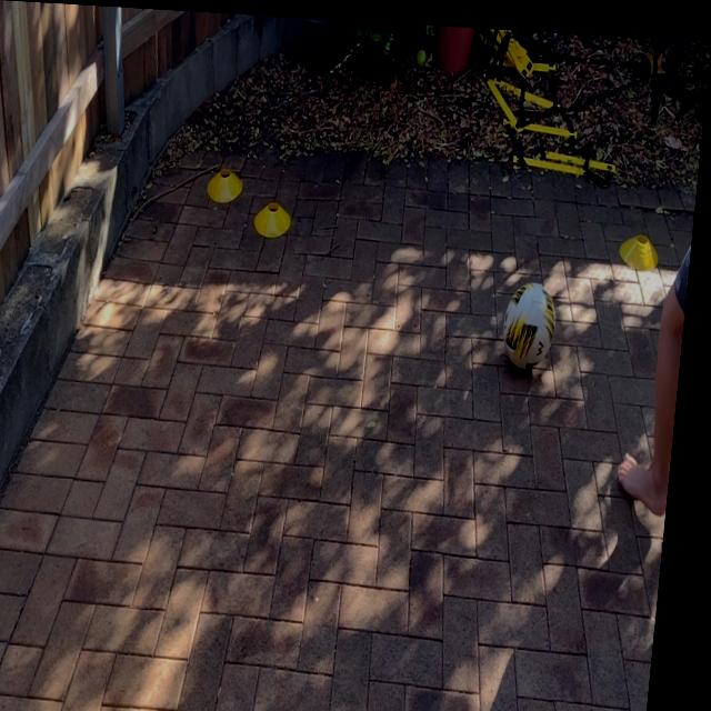 Dataset Image