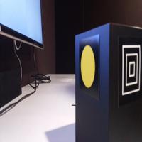 Dataset Image