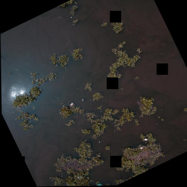 Dataset Image