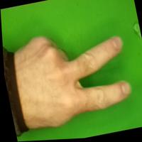 Dataset Image