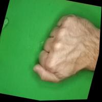 Dataset Image