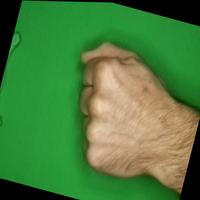 Dataset Image