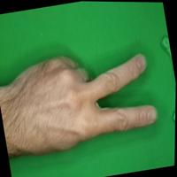 Dataset Image