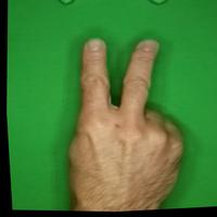 Dataset Image