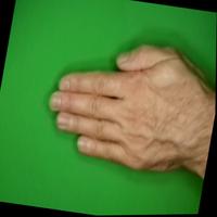 Dataset Image