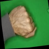 Dataset Image