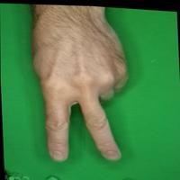 Dataset Image
