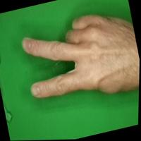 Dataset Image