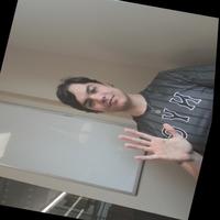 Dataset Image