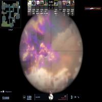 Dataset Image