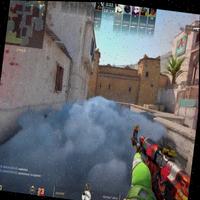 Dataset Image