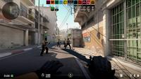 Dataset Image