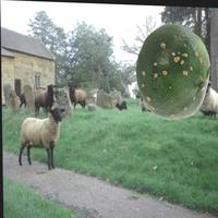 Dataset Image