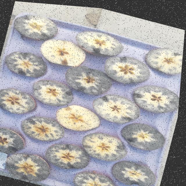 Dataset Image