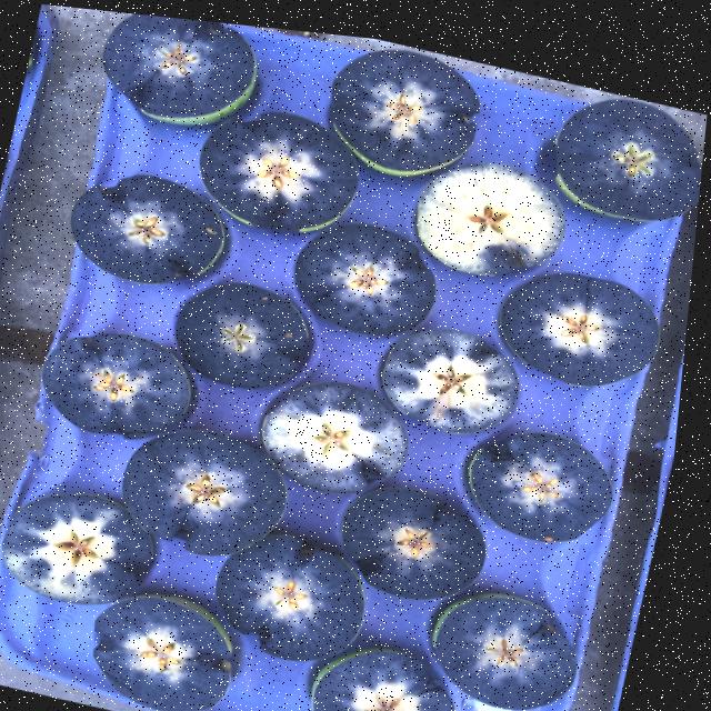 Dataset Image