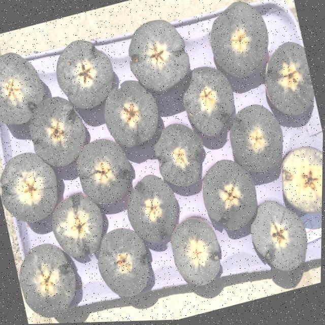 Dataset Image