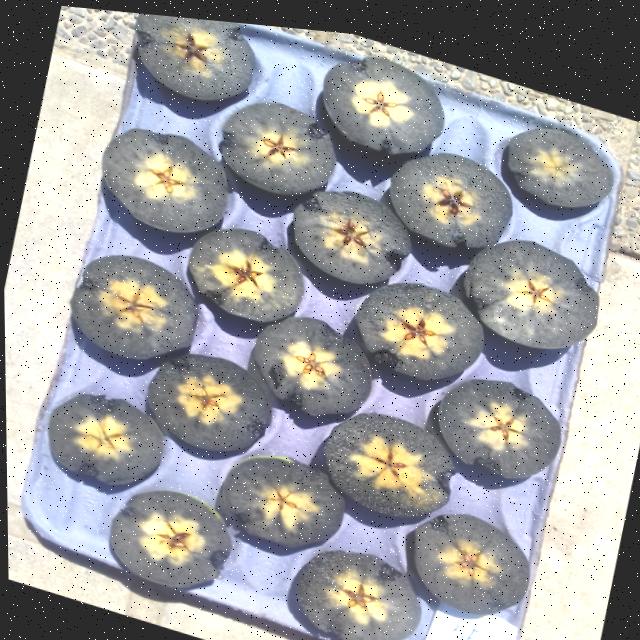 Dataset Image