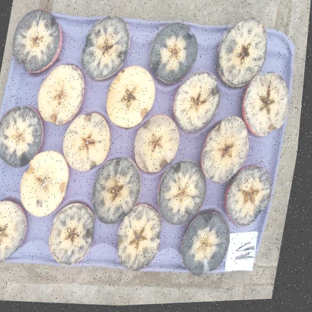 Dataset Image