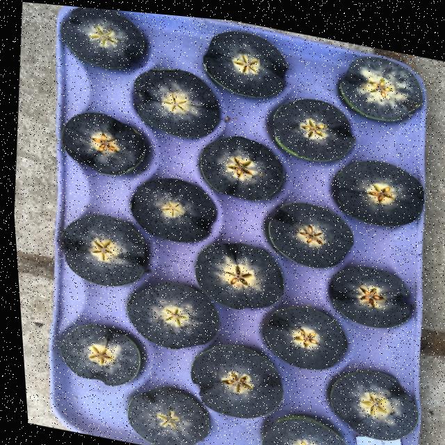 Dataset Image