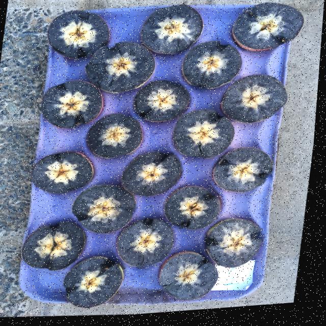 Dataset Image