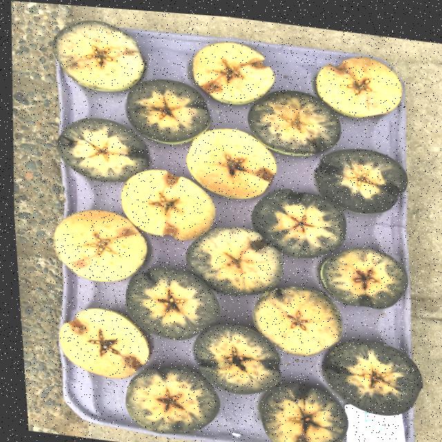 Dataset Image