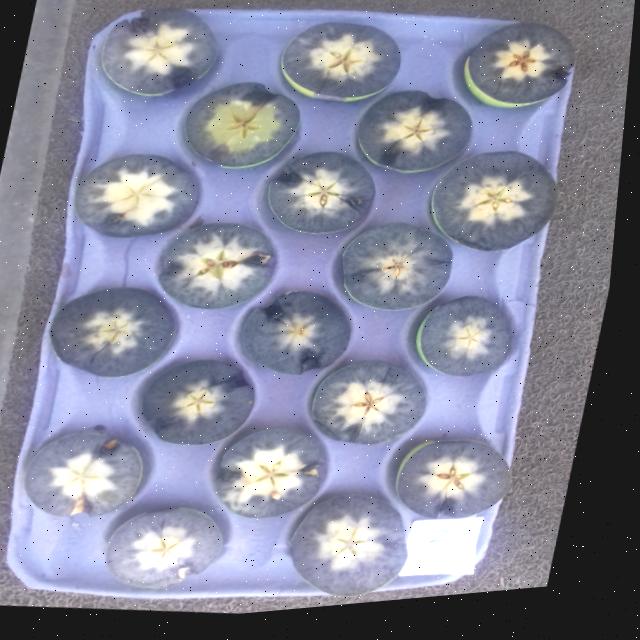 Dataset Image