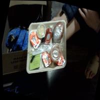 Dataset Image