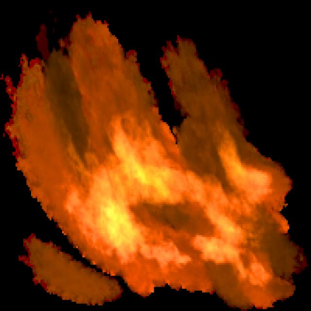 Dataset Image