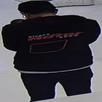 Dataset Image