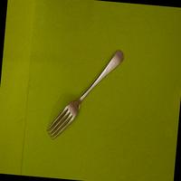 Dataset Image
